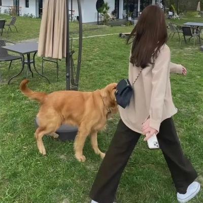 折磨